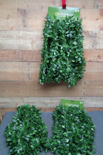 Green holly tinsel for sale  Norwich