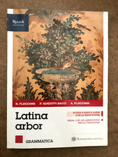 Latina arbor grammatica usato  Roma