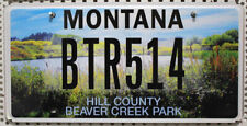 Montana usa nummernschild gebraucht kaufen  Euskirchen