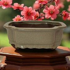indoor glazed pot for sale indoor glazed pot for sale Bothell