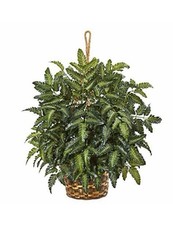 Nearly natural bracken for sale  Cleveland