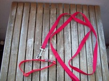 Hundehalsband leine textil gebraucht kaufen  Dortmund