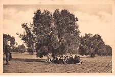 Tunisie san26987 ramassage d'occasion  France