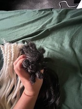 Black white green for sale  EBBW VALE