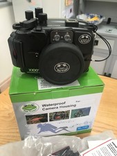 Sea frogs underwater for sale Sea frogs underwater for sale  CARDIFF