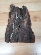 Riesig schwemmholz treibholz gebraucht kaufen  Werneuchen