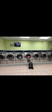 Dexter laundry pound for sale  Westbury