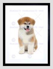 Photo dog puppy for sale  EDINBURGH