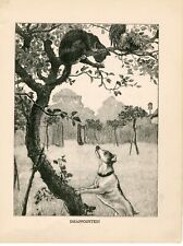 JACK RUSSELL TERRIER E GATO ATÉ UMA ÁRVORE LINDA IMPRESSÃO ARTE ANTIGA 1901 comprar usado  Enviando para Brazil
