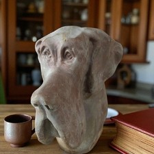 Tête dogue allemand d'occasion Tête dogue allemand d'occasion  Villemomble