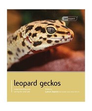 Leopard gecko lance gebraucht kaufen  Trebbin