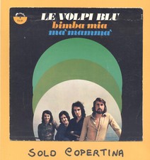 Solo copertina volpi usato  Bari
