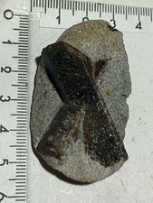 Staurolith russland mineralien gebraucht kaufen  Ingolstadt