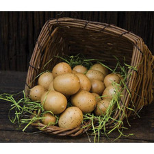 Farmhouse country easter for sale  Eminence