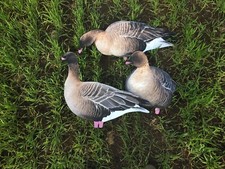 Pinkfoot goose decoys for sale  POULTON-LE-FYLDE