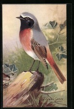 Ansichtskarte gimpel einem gebraucht kaufen Ansichtskarte gimpel einem gebraucht kaufen  Berlin