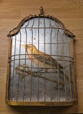 Vintage brass trompe for sale  BILLINGSHURST