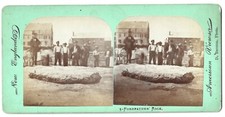 Barnum stereoview forefather d'occasion  Expédié en Belgium