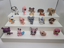 Little pet shop for sale  Cedar Rapids