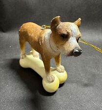 Pit bull terrier for sale  Saint Petersburg