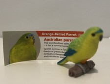 Yowie orange bellied for sale  Nixa