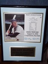 Mickey mantle hof d'occasion  Expédié en Belgium