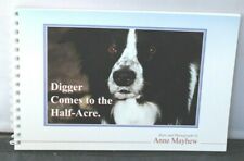 Digger border collie for sale  Ferndale