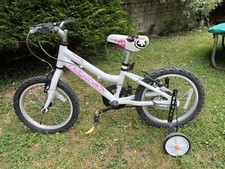 Ridgeback melody kids for sale  BRISTOL