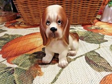 1960 basset hound for sale  New Port Richey