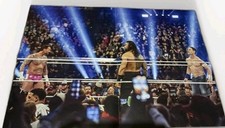 Punk roman reigns gebraucht kaufen  Weyhe