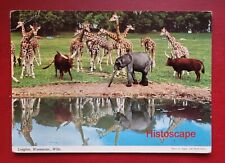 Postcard unused lions for sale  CARDIFF