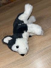 Kuscheltier husky gebraucht kaufen  Meuselwitz