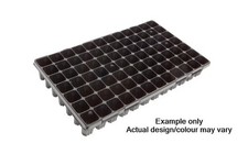 Cell nursery seed for sale  BRISTOL