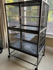 Liberta explorer rat for sale  BRISTOL