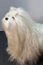 puppies maltese poodle for sale  Waterford
