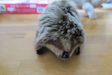 Riginal steiff igel gebraucht kaufen Riginal steiff igel gebraucht kaufen  Berlin