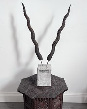 Antique original antelope for sale  CHRISTCHURCH