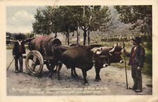 Usado, PC PORTUGAL PINHAO OXEN-CART TRANSPORTING WINE, Vintage Postcard (b54268) comprar usado  Enviando para Brazil