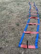 Zsig speed agility for sale  READING