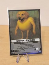 Cagnolino insaponato 150 usato  Penne