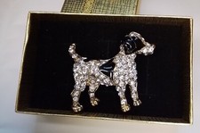 Beautiful diamante terrier for sale  SHREWSBURY