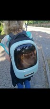 rucksack katze gebraucht kaufen  Hamburg