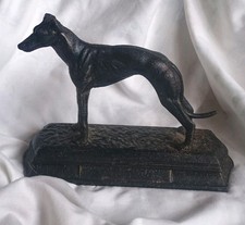 Greyhound whippet dog for sale  PRESTATYN