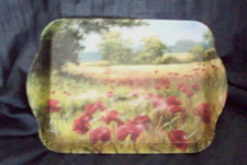 Small hard plastic for sale  HUNTINGDON