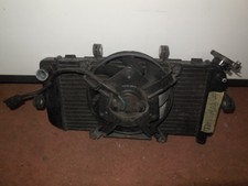 Radiatore completo elettrovent usato  Roma