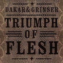 Triumph flesh dakar gebraucht kaufen  Berlin