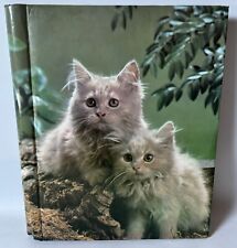 Vintage kitsch photo for sale  BELPER