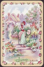 Playing cards single for sale  OKEHAMPTON