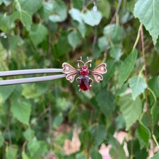 Broche ancienne insecte d'occasion  Heillecourt