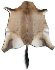 Red hartebeest skin for sale  Champlain